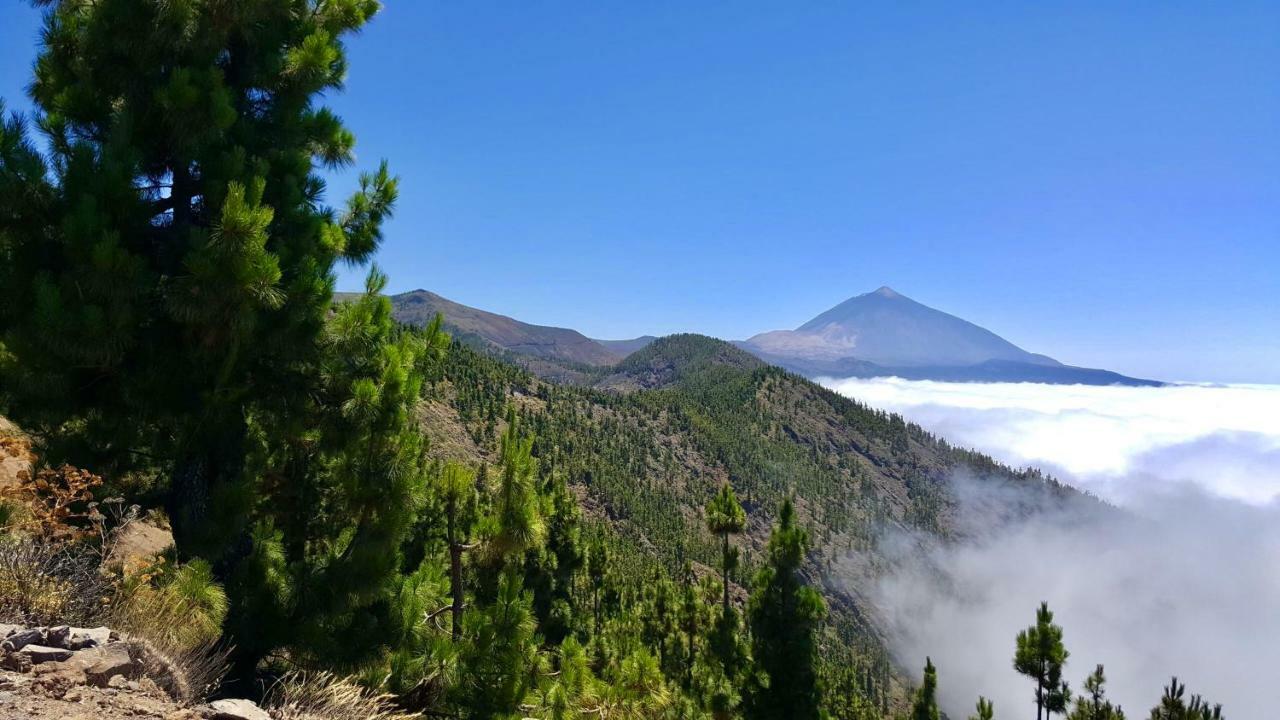 Top View Acantilados De Los Gigantes Acantilado de los Gigantes Zewnętrze zdjęcie